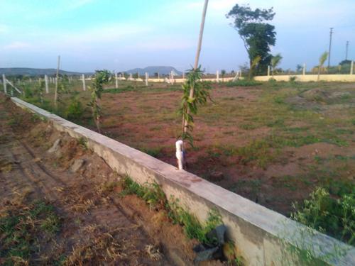  my-fortune-ii Images for Amenities of My Land My Pride My Fortune II