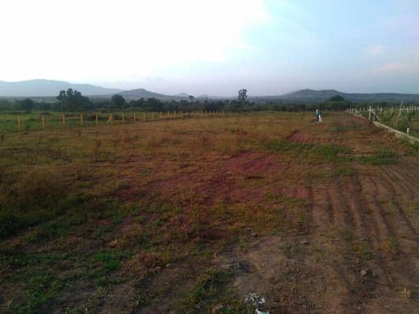 Images for Amenities of My Land My Pride My Fortune II