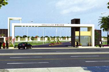 Images for Elevation of Millennium Pride