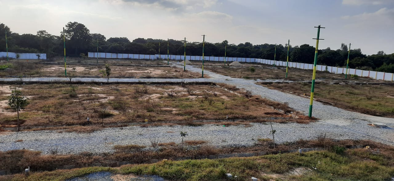 Images for mainOther