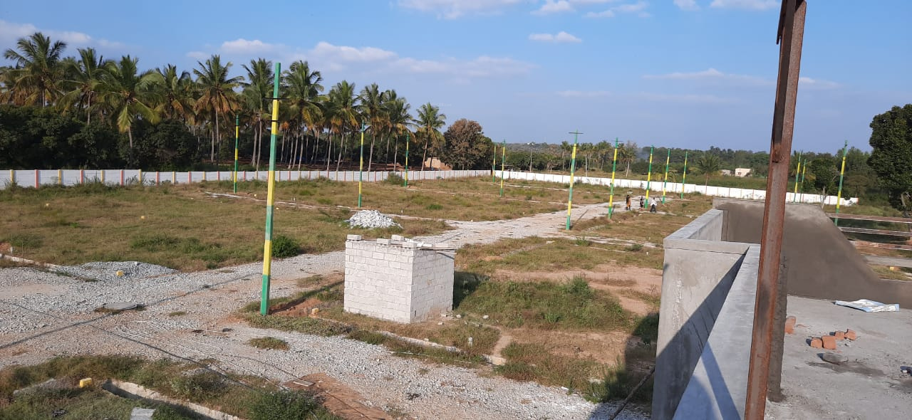 Images for mainOther