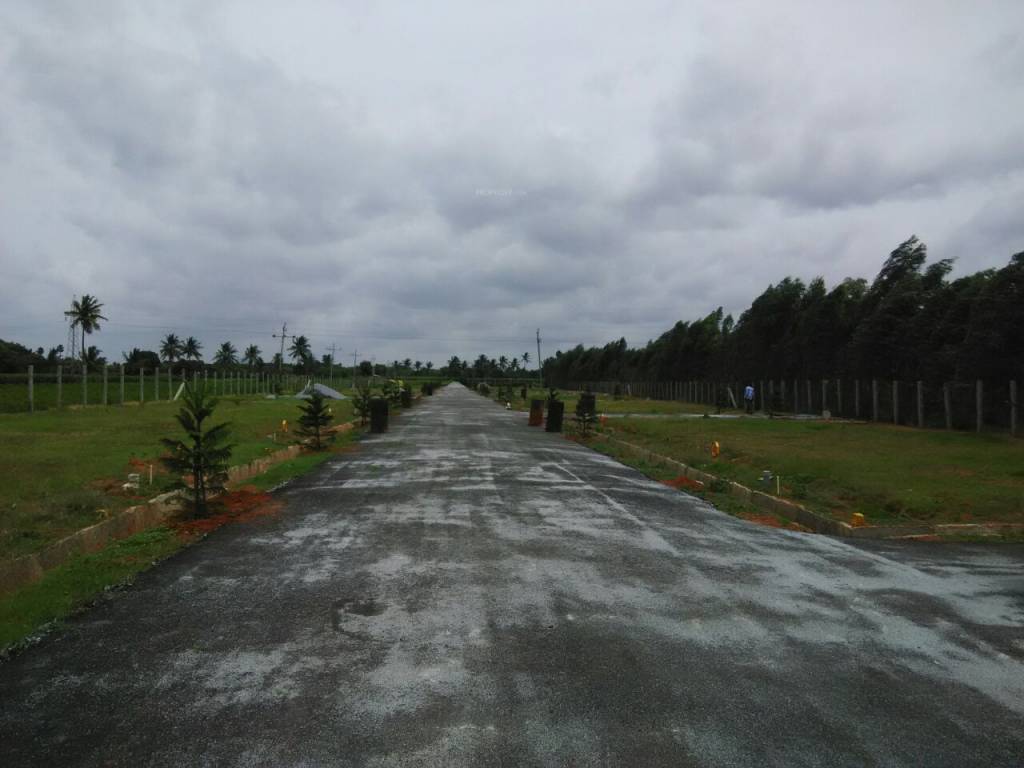 Images for mainOther