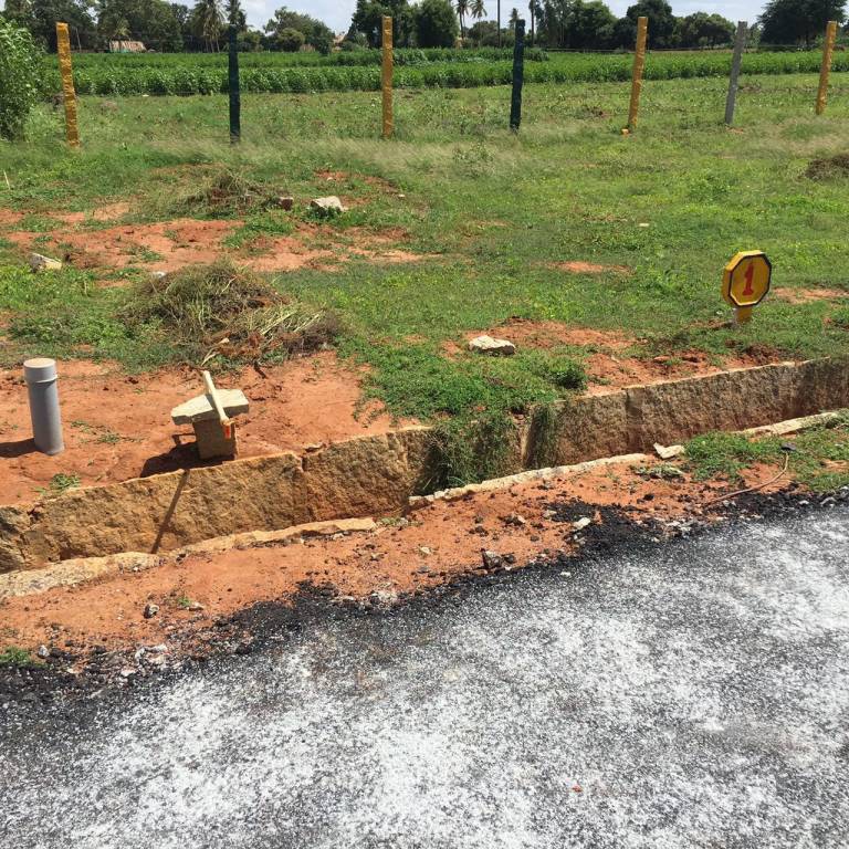 Images for mainOther