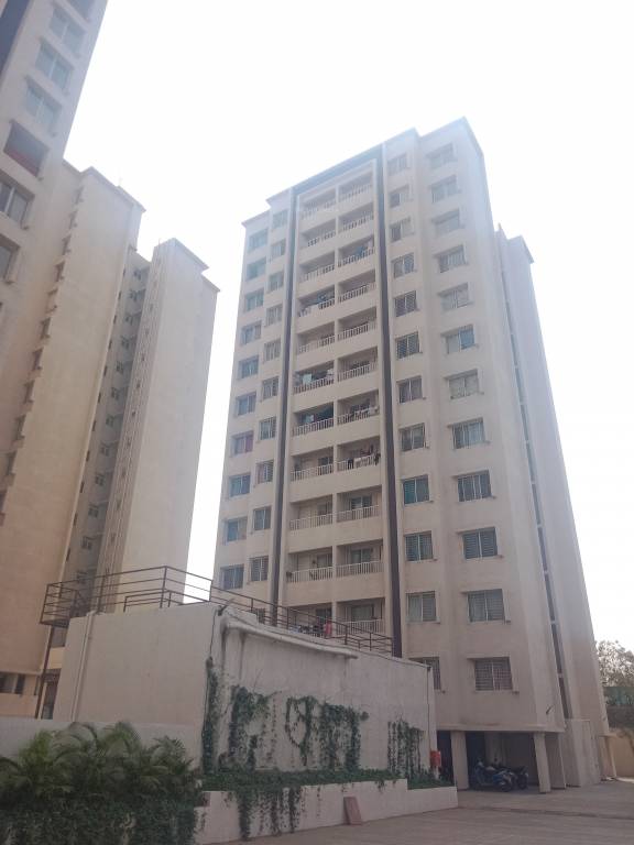  vision ace Elevation