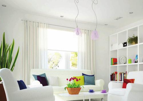 Images for Main Other of Colorhomes Orchid orchid Images for Main Other of Colorhomes Orchid