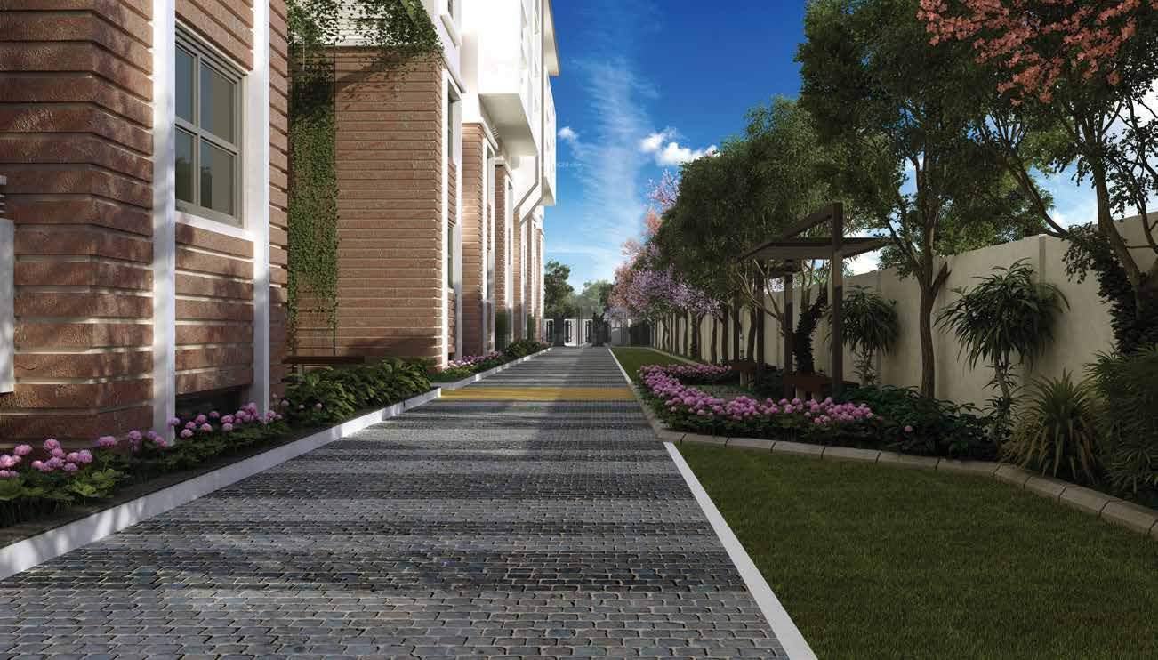  north 24 Landscape Garden and Tree Planting