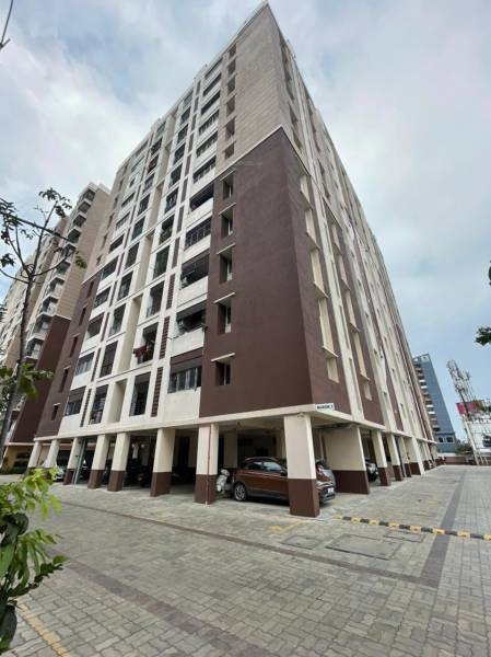 Elevation oceandew Elevation