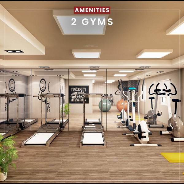 Gymnasium oceandew Gymnasium