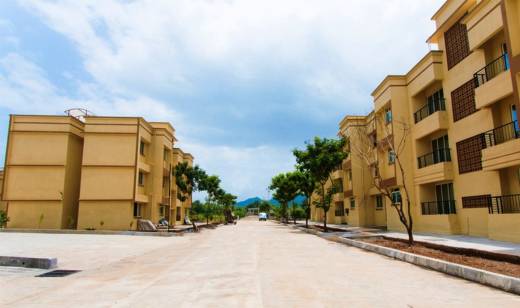 Images for Elevation of Jashnani Blossom Images for Elevation of Jashnani Blossom