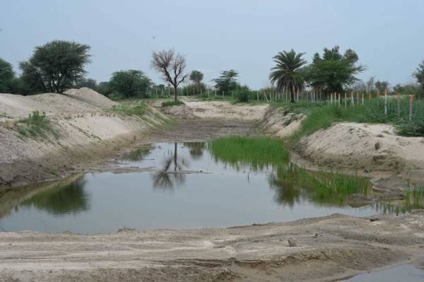 Others the-future-city Others