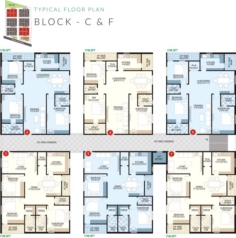  galaxy Images for Cluster Plan of Prime Galaxy