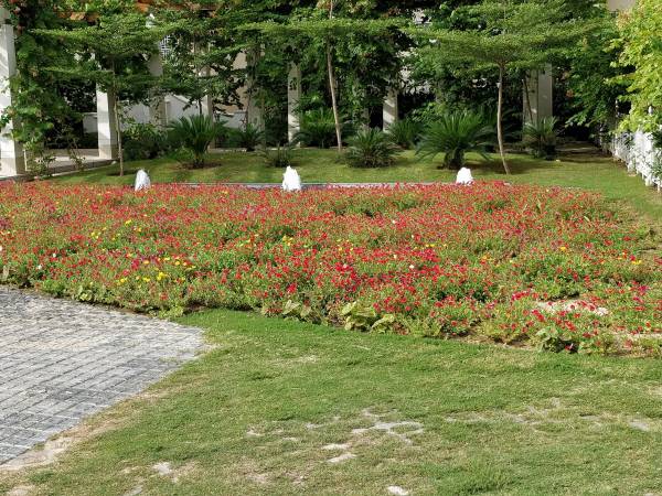 Landscaped Gardens sky-villas Landscaped Gardens