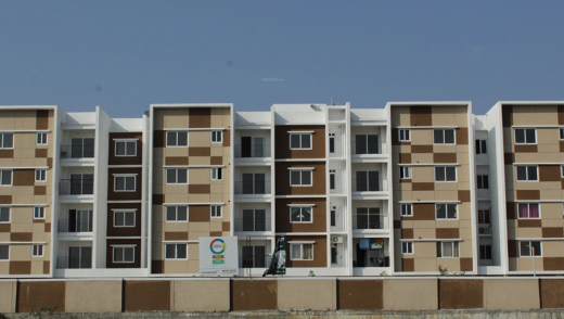 ferns Images for Elevation of Casagrand Ferns Images for Elevation of Casagrand Ferns