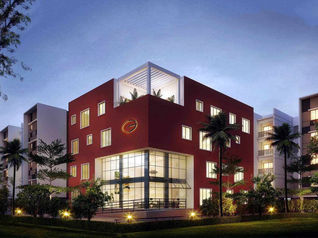 Images for Amenities of Casagrand Ferns