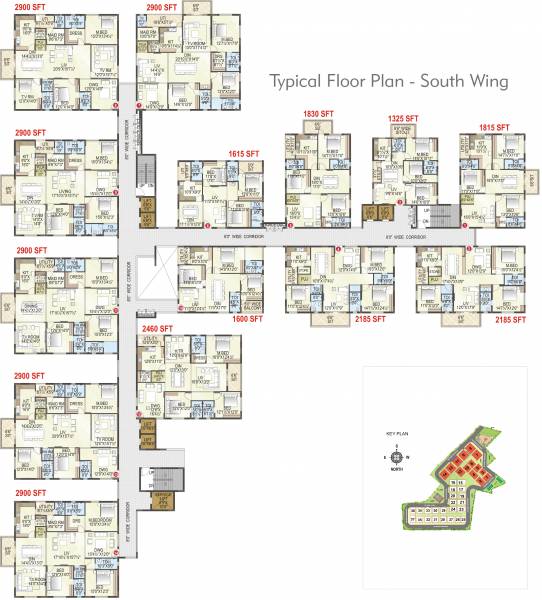 Images for Cluster Plan of  Gold Coast