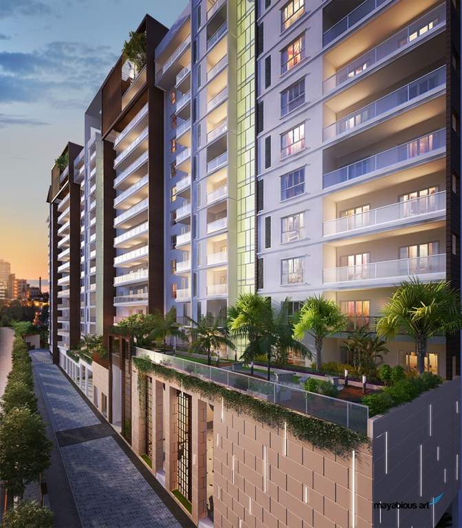 forest breeze Images for Elevation of Artisane Forest Breeze