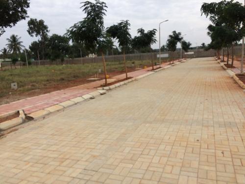  florence Images for Main Other of Dhammanagi Florence