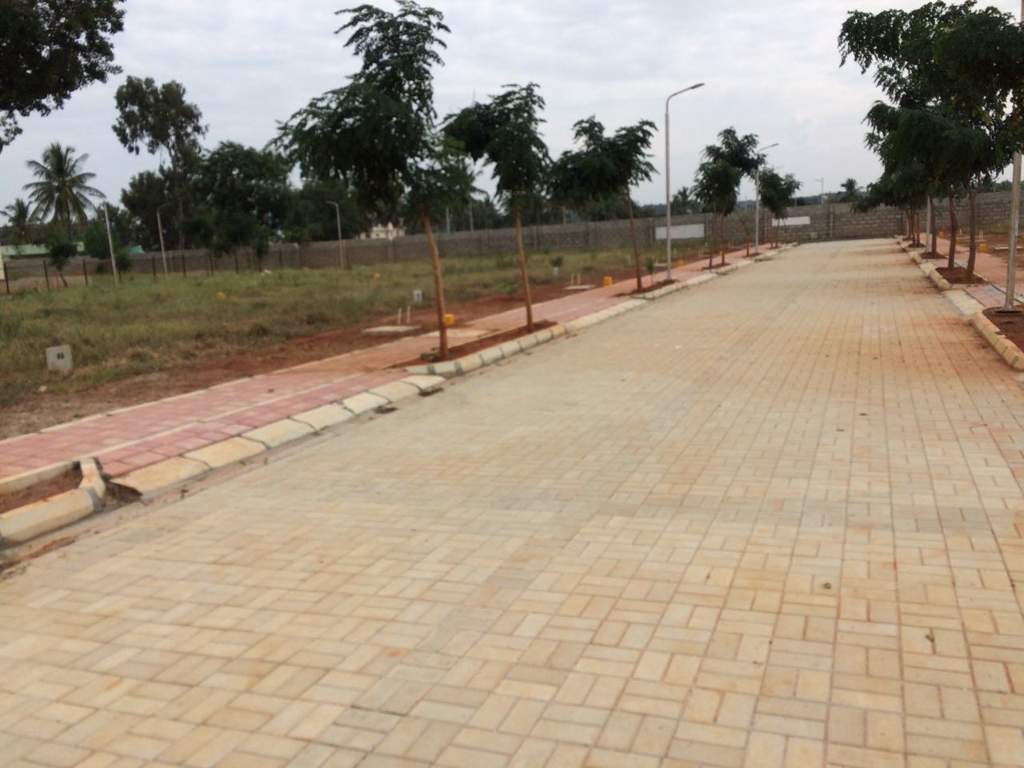  florence Images for Main Other of Dhammanagi Florence