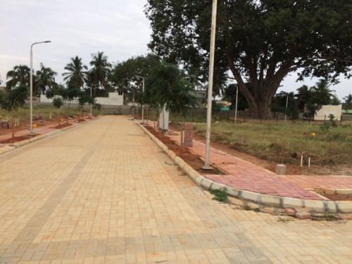  florence Images for Main Other of Dhammanagi Florence