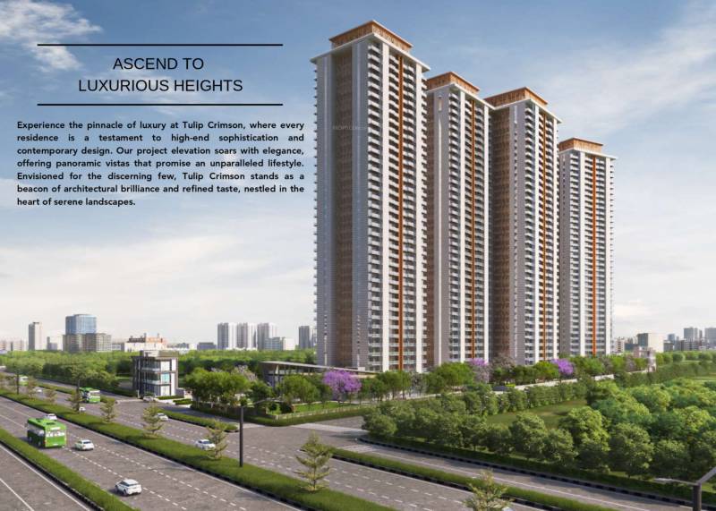  heights Elevation