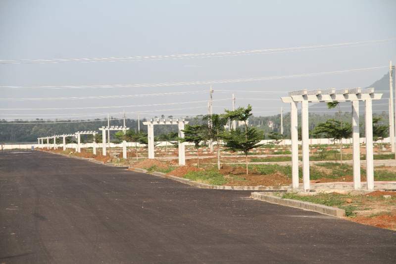  aditya white field Elevation