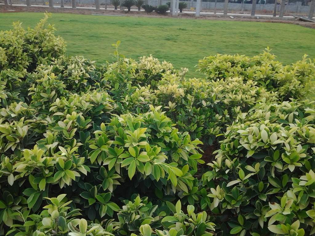  aditya grand Images for Amenities of Peram Aditya Grand