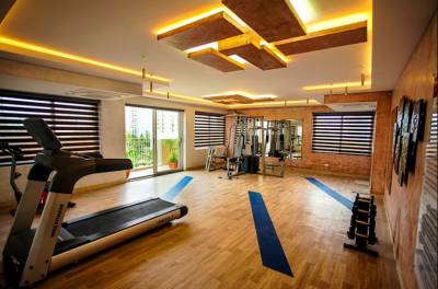 Gymnasium petals Gymnasium