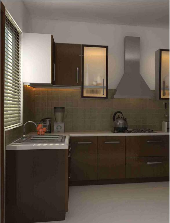  petals Images for Main Other of Asset Petals