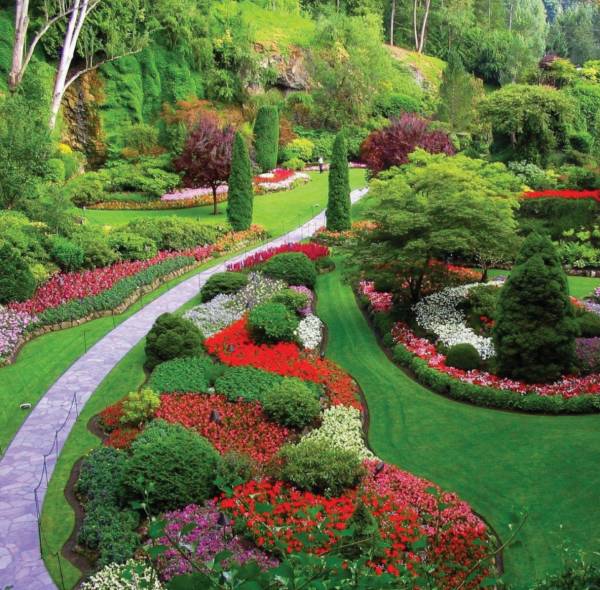 Images for Amenities of Fern Silver Springs Images for Amenities of Fern Silver Springs