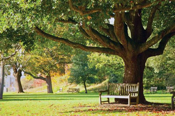 Images for Amenities of Arvind Dove Images for Amenities of Arvind Dove