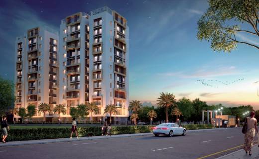 Images for Elevation of Eden Tolly Signature Plus