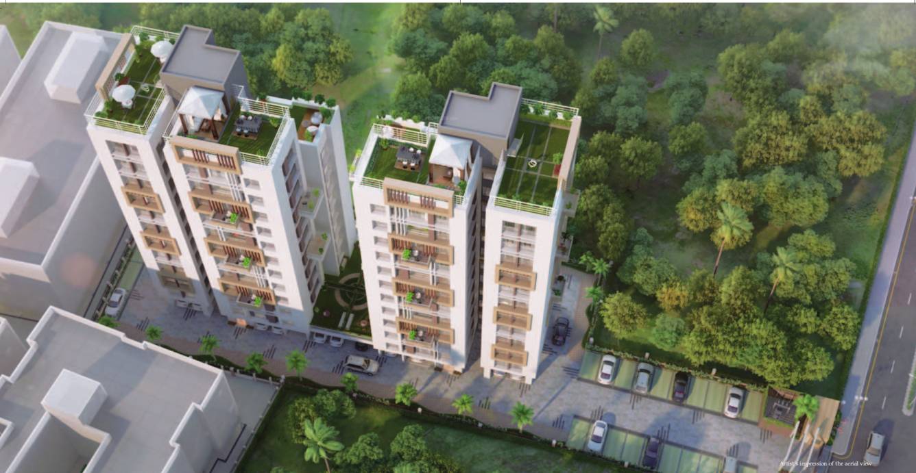 Images for Elevation of Eden Tolly Signature Plus