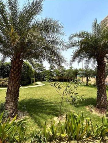  roof Landscape Garden and Tree Planting