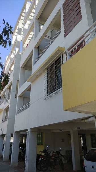 silver dew Elevation