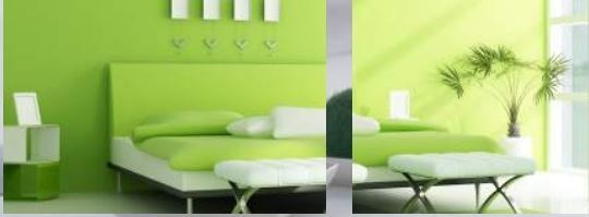  vamsis vadlamudi Others