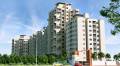 Tatvam Construction La Vida