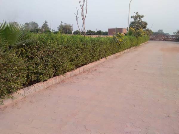 Images for Elevation of Himalaya Green Park Images for Elevation of Himalaya Green Park