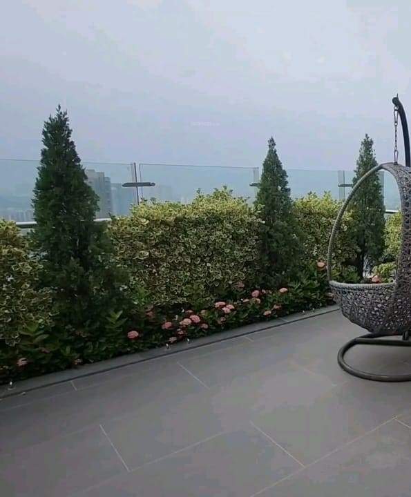  anassa Landscape Garden and Tree Planting