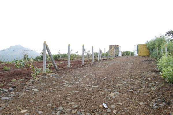  hill Images for Elevation of Mango Hill