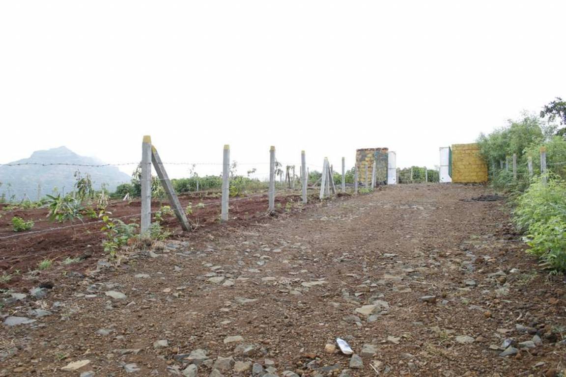  hill Images for Elevation of Mango Hill