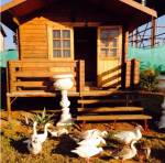  hill Images for Amenities of Mango Hill