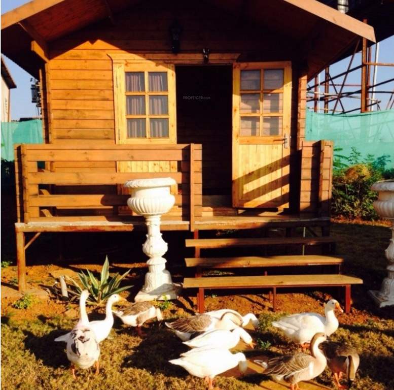  hill Images for Amenities of Mango Hill