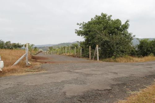  hill Images for Main Other of Mango Hill