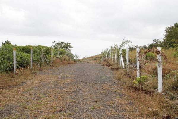 Images for Main Other of Mango Hill