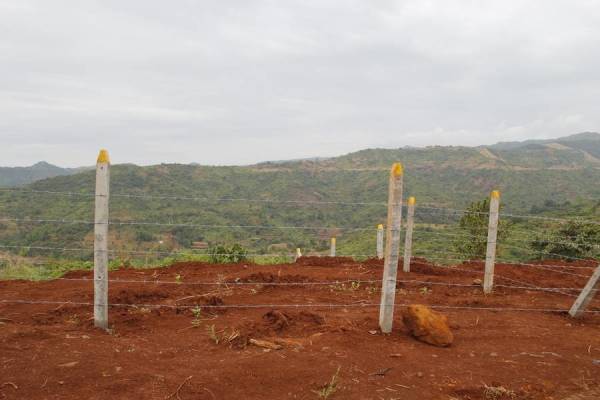 Images for Main Other of Mango Hill