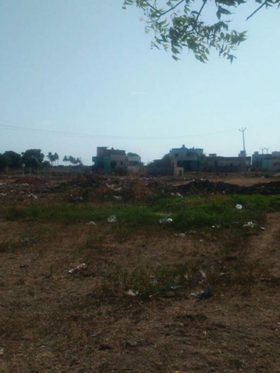 Images for Main Other of Fomra Ragas