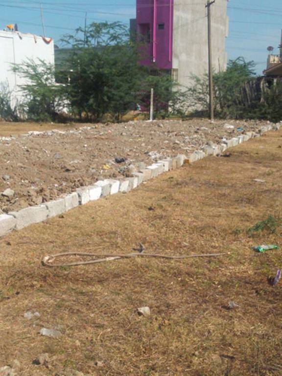 Images for Main Other of Fomra Ragas