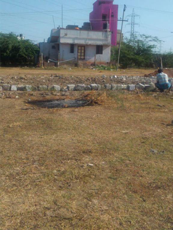 Images for Main Other of Fomra Ragas