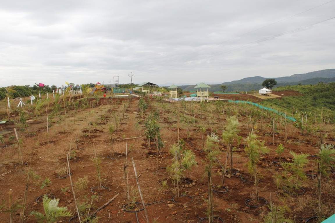 club Images for Amenities of Mango Club