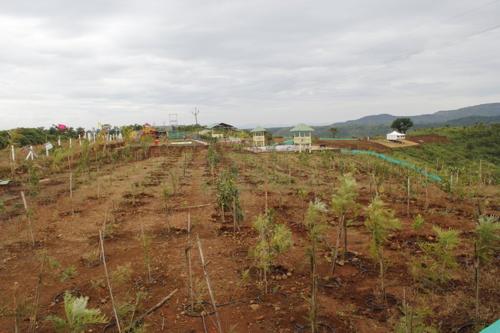 Images for Amenities of Mango Club club Images for Amenities of Mango Club